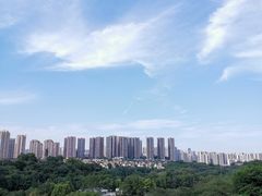 -重庆彩云湖湿地公园