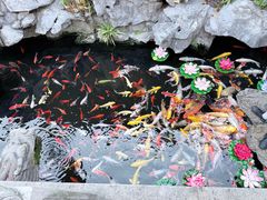 -西林禅寺
