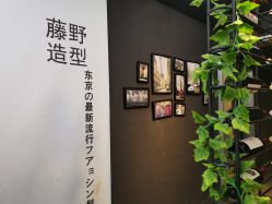 -藤野造型