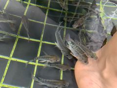 -七彩云南古滇温泉山庄