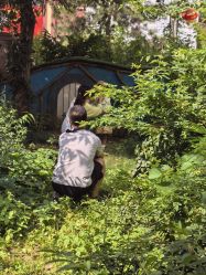 -熊孩子韩国儿童摄影(三义街店)