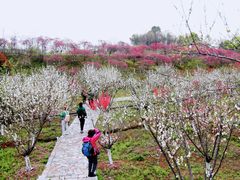 -常德桃花源景区
