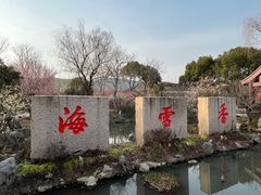 -香雪海