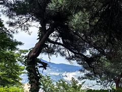 -崂山仰口游览区