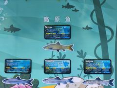 -海合安成都极地海洋公园