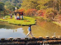 -田野绿世界