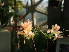 -上海辰山植物园