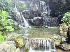 -广州市白云山风景名胜区
