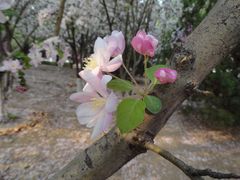 -山东理工大学