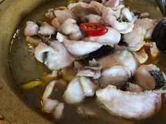 石锅乌鱼-大鼎石锅鱼(春江里店)