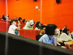 -有宠宠物(YOUCOIN·未来店)