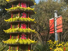 -南山植物园