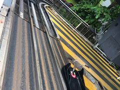 -圣淘沙天际线斜坡滑车