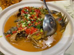 -野渡坡·极致湘菜·庭院餐厅(汉阳店)