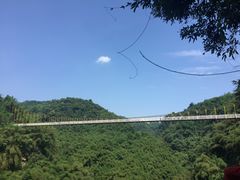 -川西竹海景区