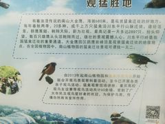 -南山植物园