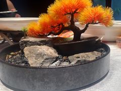 -柴米油盐(土菜院子店)