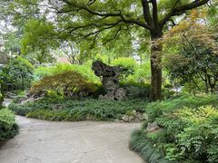 -申粤轩酒楼·三十年粤菜经典(丁香花园店)