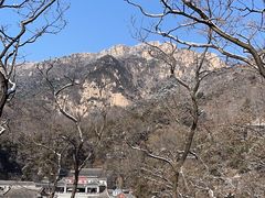 -泰山风景名胜区