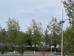 -宝荣鱼馆·临湖之宴(千岛湖店)