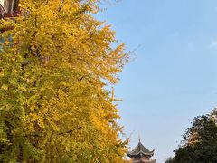 -老鼎万春卤菜(五代传承创始老店)