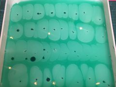 -100家灵感仓库·DIY团建(什刹海店)
