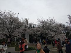 -武汉大学-樱园
