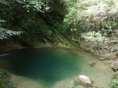 -后柳水乡