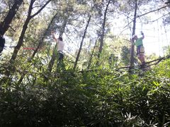 -梦幻奥陶纪景区