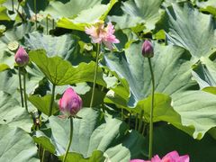 -苏州河梦清园环保主题公园