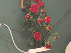 -剧狐剧本杀(徐汇1号店)