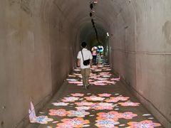 -波浪谷
