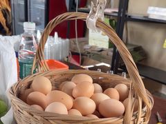 -马陆小张葡萄园农家乐