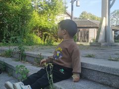 -同里国家湿地公园