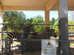 -石家庄市动物园