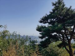 -北京西山国家森林公园