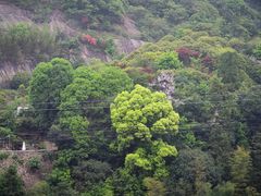 -大罗山风景区