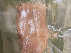 -紫滇源云南生态菜(丹凤街店)