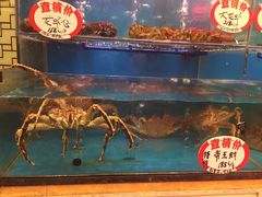 -潮喜竹溪荔湖酒家(荔枝湾店)