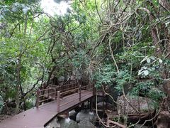 景点-七仙岭温泉国家森林公园