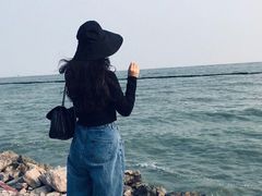 -合肥滨湖国家森林公园