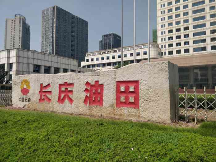 中国石油长庆油田公司-"91咩咩的2019年no.16点评 这.