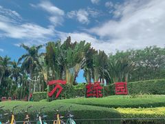 -万绿园
