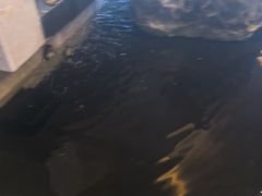 -臻品足道(佛祖岭店)