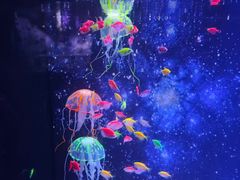 -常州海昌海洋探索馆