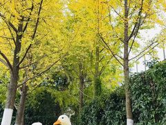 -金陵图书馆