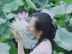 -大宁郁金香公园-停车场