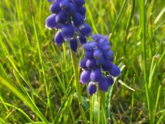 -昆山城市生态森林公园