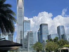 -深圳星河丽思卡尔顿酒店