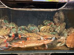 -日丰园海肠水饺·老字号大连海鲜(和平广场店)